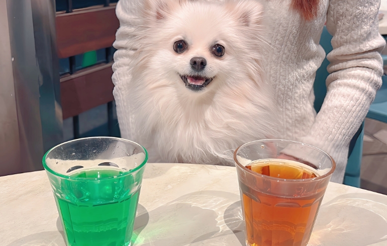 ドリンクとゆめちゃん