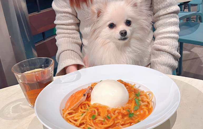 渡り蟹のトマトクリームスパゲティとゆめちゃん