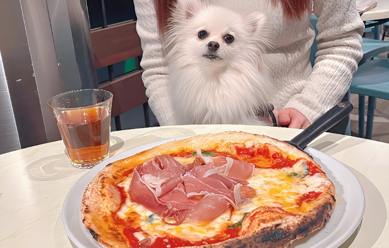 ピザとゆめちゃん