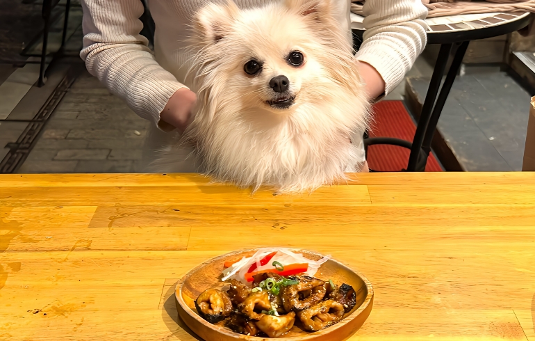 シロコロ1