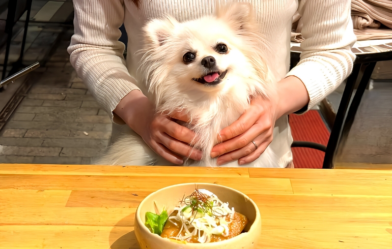とろとろ角煮1