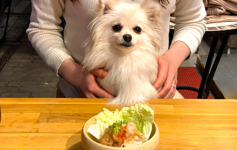 ガツポン1