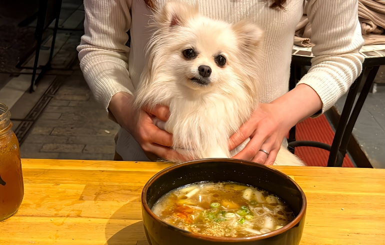 テールスープ1