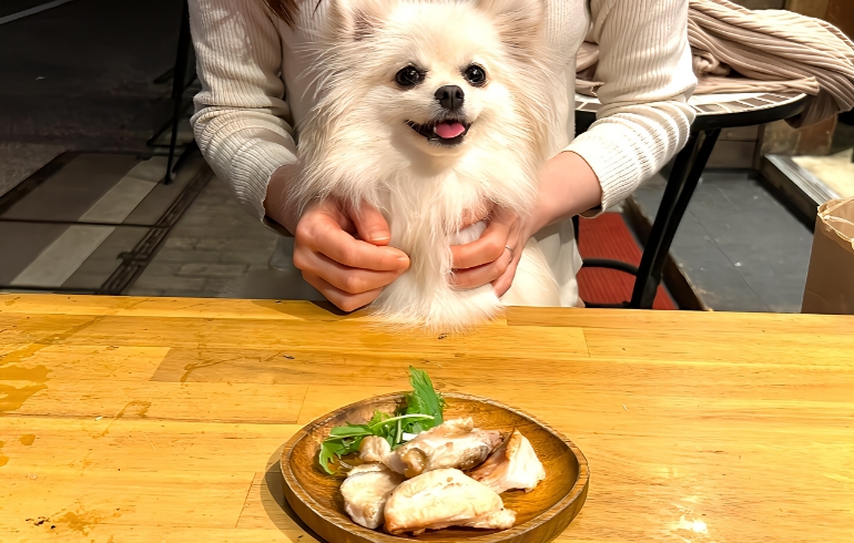 わんちゃん用のごはん1