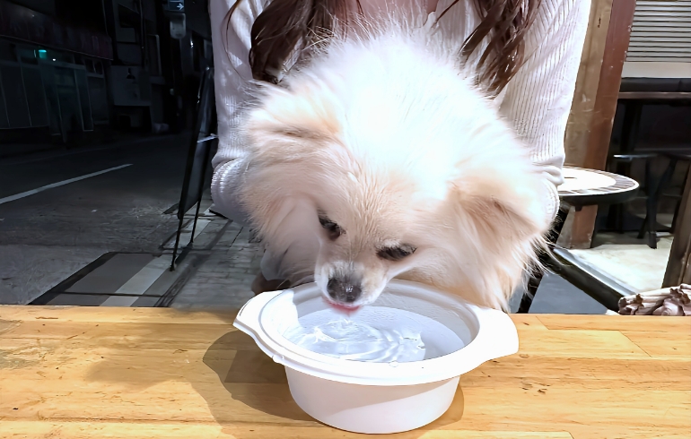 お水サービス1