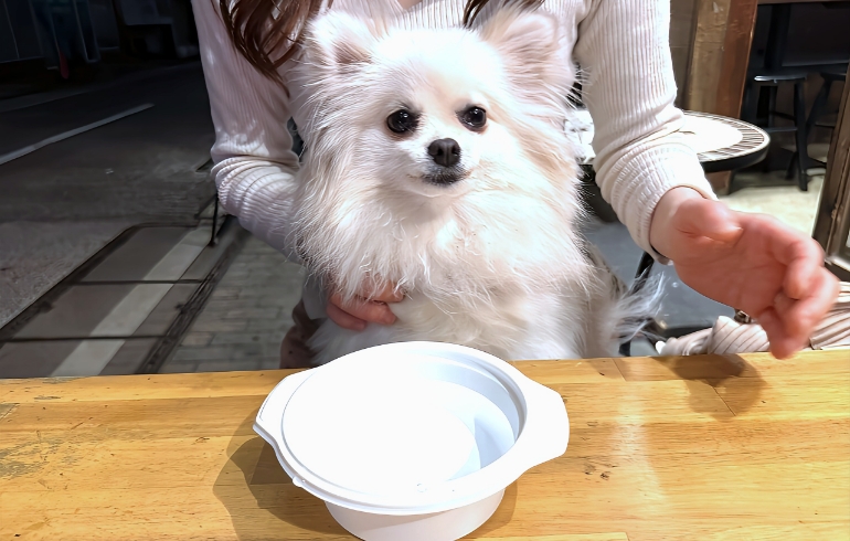 お水サービス2