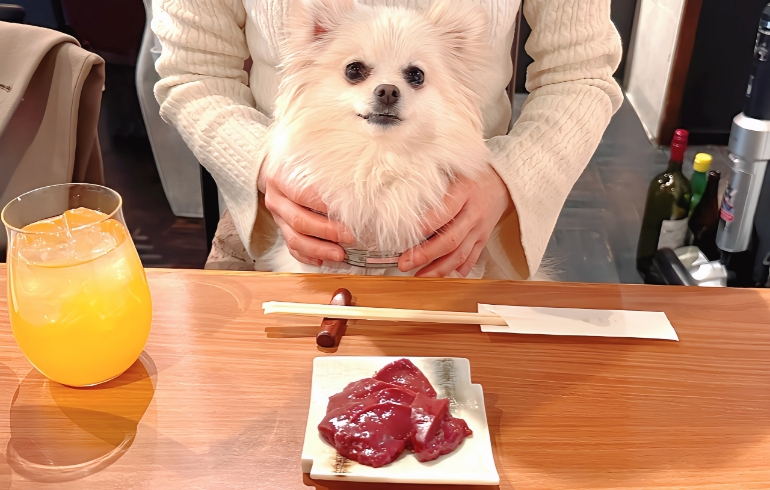 ワンちゃん用お肉（生レバー）と愛犬