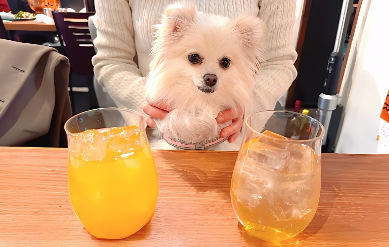 ドリンク