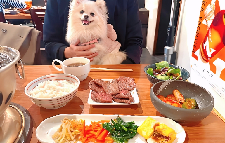 ランチセット