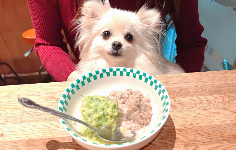 わんちゃんのお水