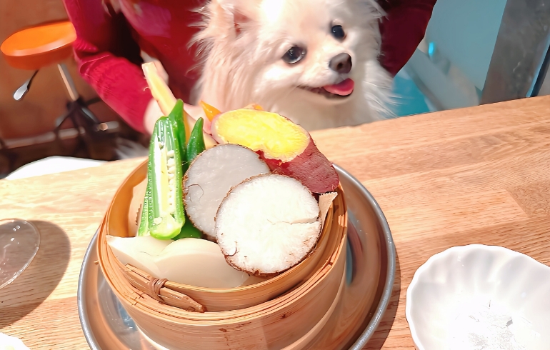 画像 1