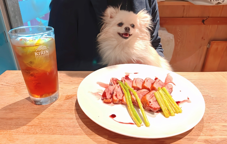 Chelsea（チェルシー）ザ・バル