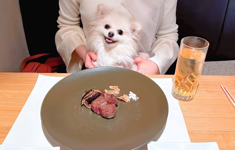愛犬とフィレステーキ