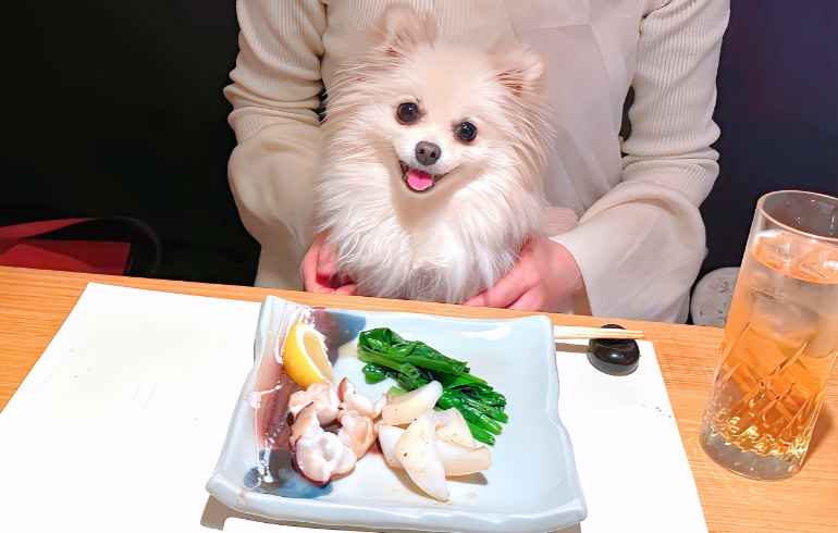 魚介の鉄板焼き1