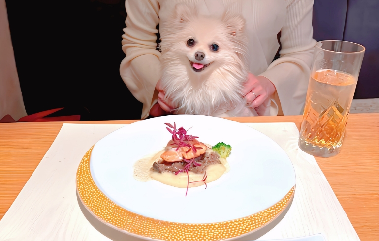 季節の魚料理1