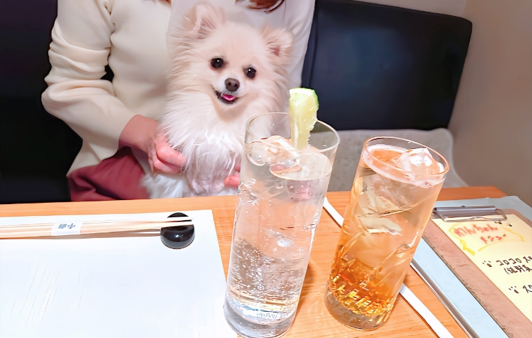 ドリンク