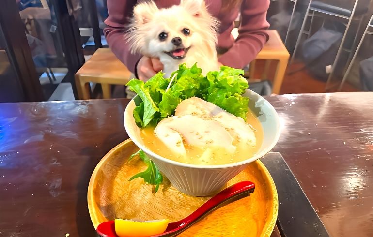 鶏白湯塩そば