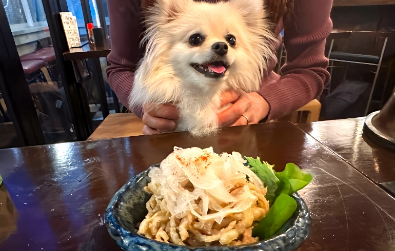 鶏皮ポン酢2