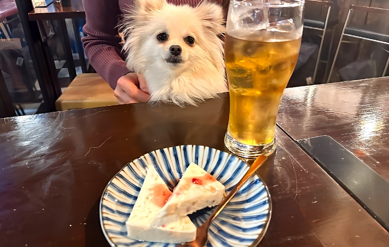 チーズアイスケーキ2