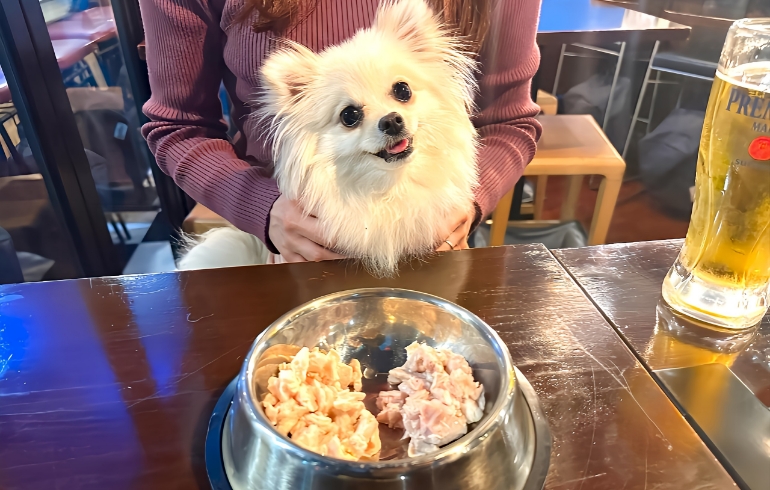 わんちゃん用のごはん