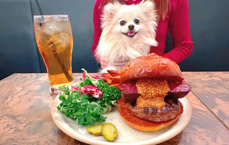 「Chillmatic - Hamburger & Bistro（チルマティック）」のメイン画像です。