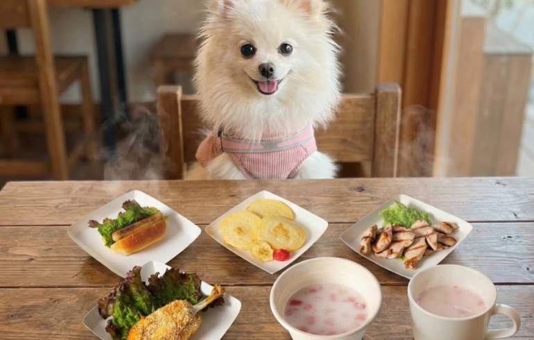 ワンちゃん料理各種