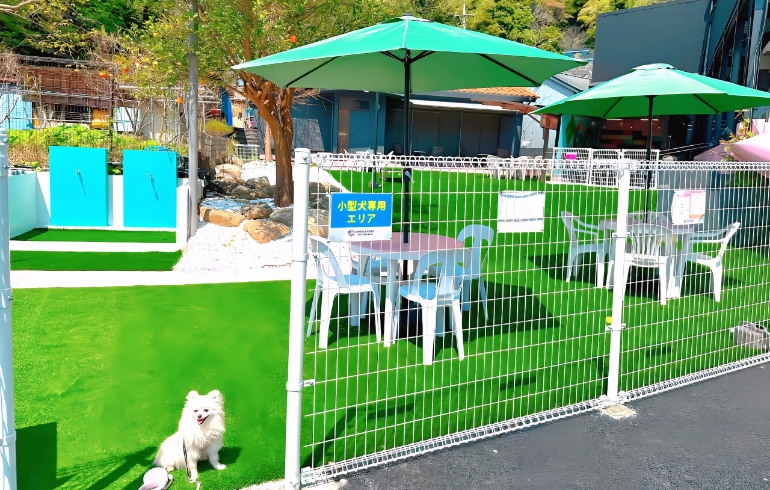 小型犬ドックラン1