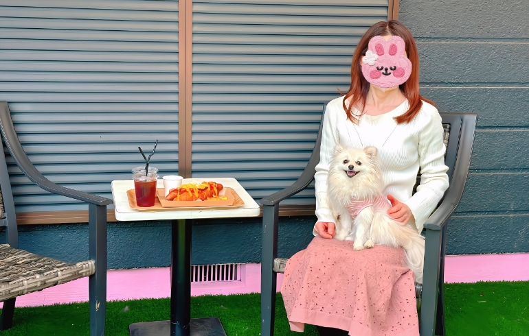 小型犬ドックラン4