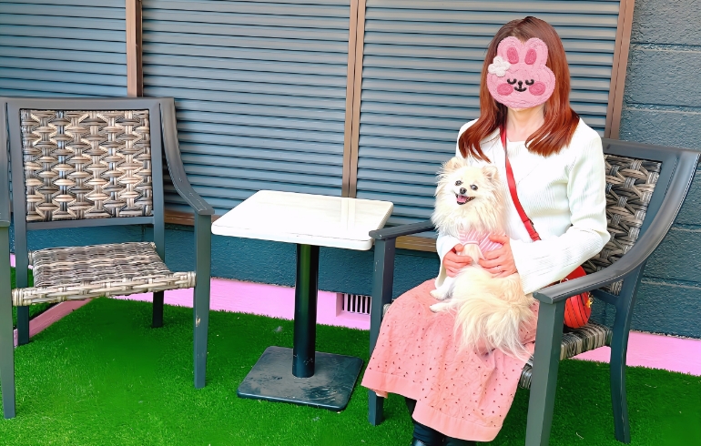 小型犬ドックラン5