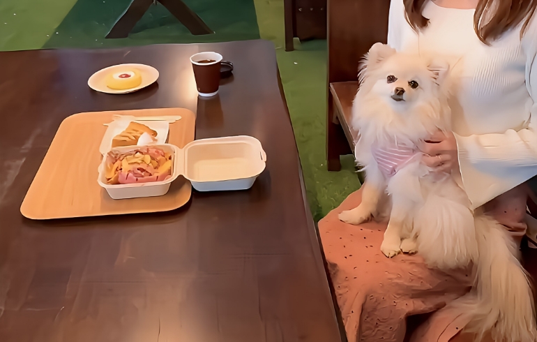 夜間ドックランプール近くのベンチ食事1