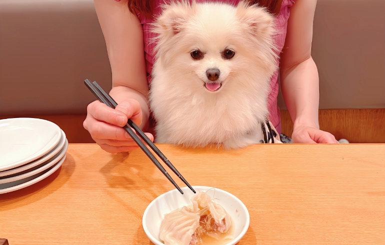 張記小龍包とゆめちゃん