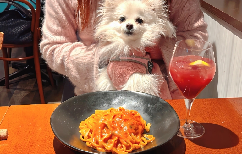 ゆめちゃんと渡り蟹のトマトクリームソース
