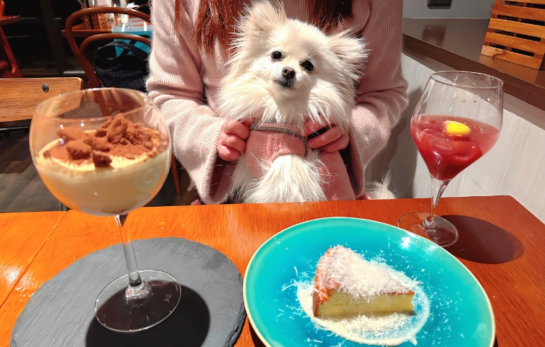 ゆめちゃんと贅沢ティラミスとクワトロフォルマッジョチーズケーキ