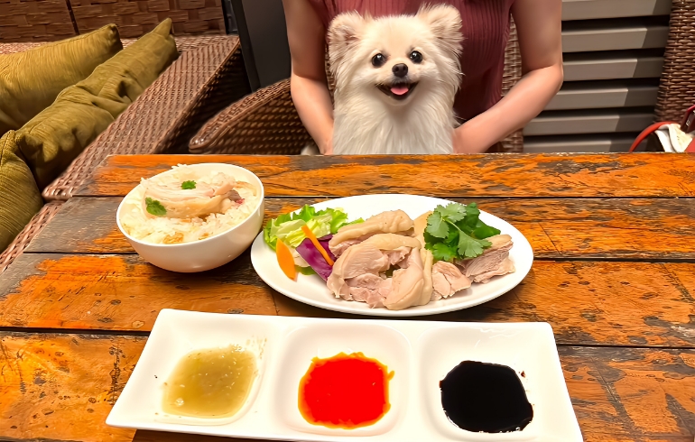 チキンライス1