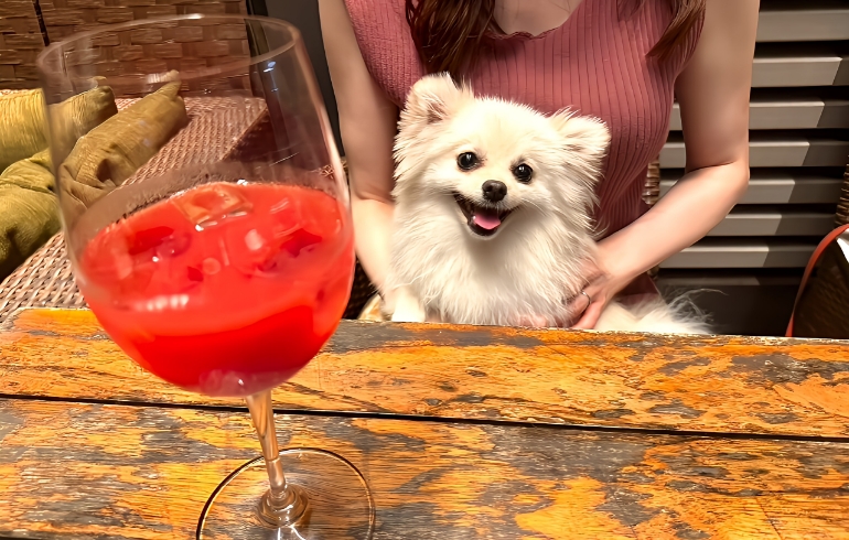 ドリンク