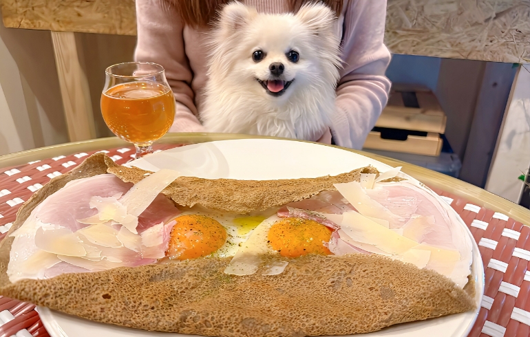 お得なランチとゆめちゃん