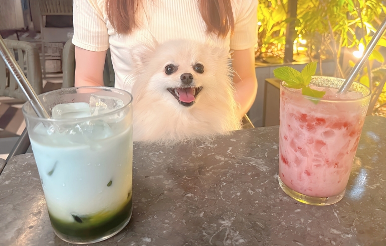 ドリンク２種とゆめちゃん