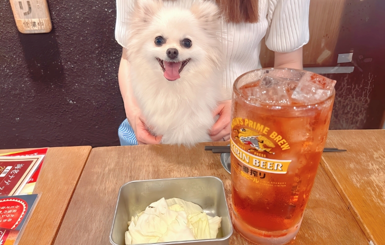お通しで提供されるキャベツとゆめちゃん