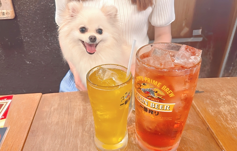 どでかジョッキシリーズ（ハイボール）とゆめちゃん