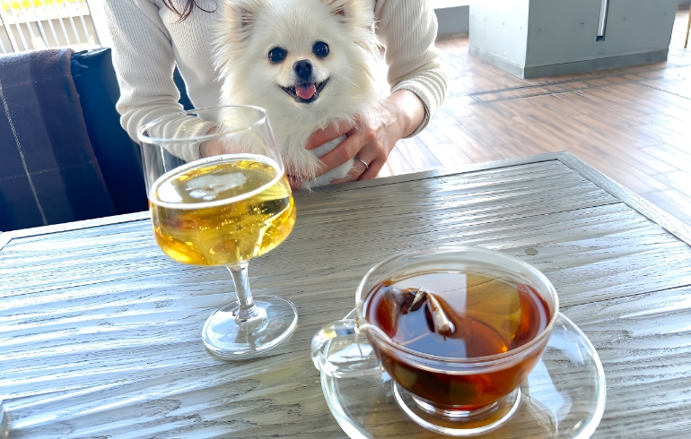 シードル
