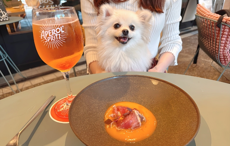 燻製サバのエスカベッシュとゆめちゃん