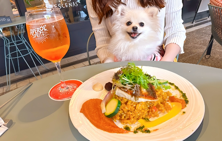 魚のソテーとアロスとゆめちゃん
