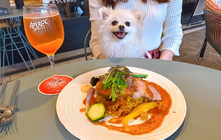 ポークソテーとアロスとゆめちゃん