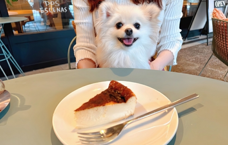 バスクチーズケーキとゆめちゃん