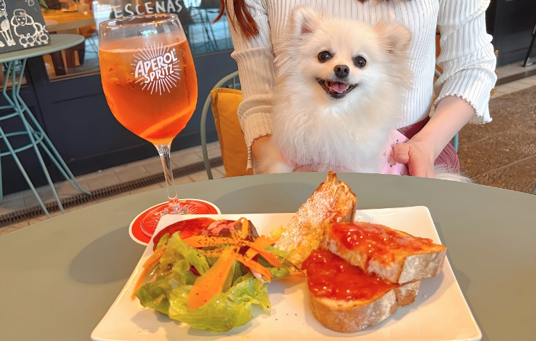 タパスの「パンコントマテ」「イベリコジジョーダ100%生ハム」「スペインオムレツ」と「サラダ」とゆめちゃん