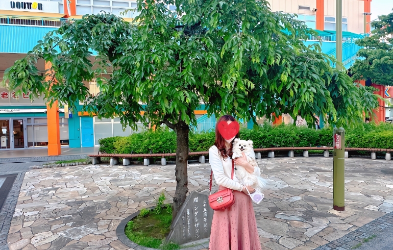 海老名中央公園2