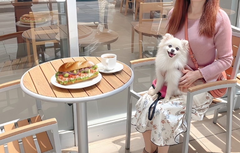 ドトールコーヒーショップ 海老名ビナウォーク店 | イヌコミ（inucomi）