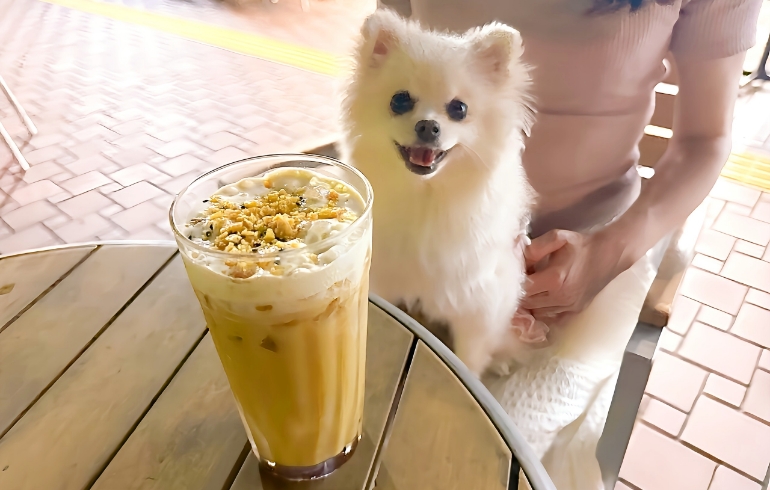 ドリンク（コーヒー）とゆめちゃん