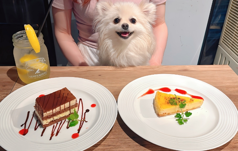 ティラミスと炙りチーズケーキ
