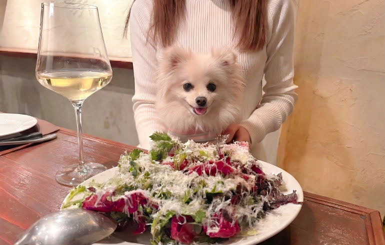 無農薬野菜サラダ料理とゆめちゃん